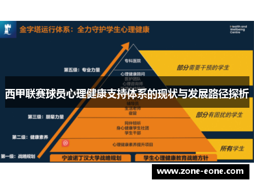 西甲联赛球员心理健康支持体系的现状与发展路径探析