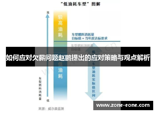 如何应对欠薪问题赵鹏提出的应对策略与观点解析
