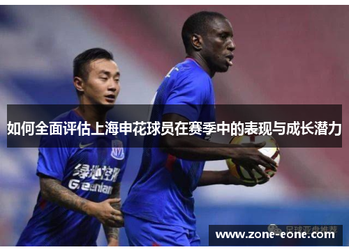 如何全面评估上海申花球员在赛季中的表现与成长潜力